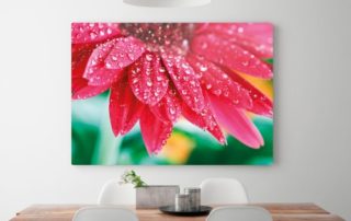 Metal Art Print of flower petals