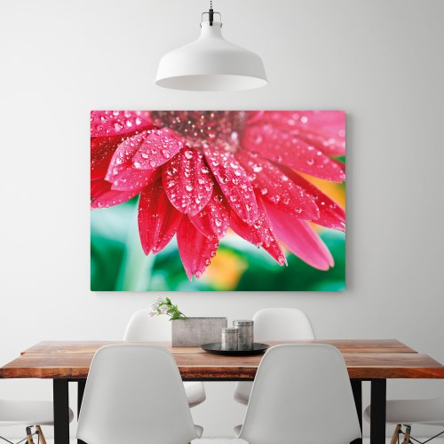 Metal Art Print of flower petals