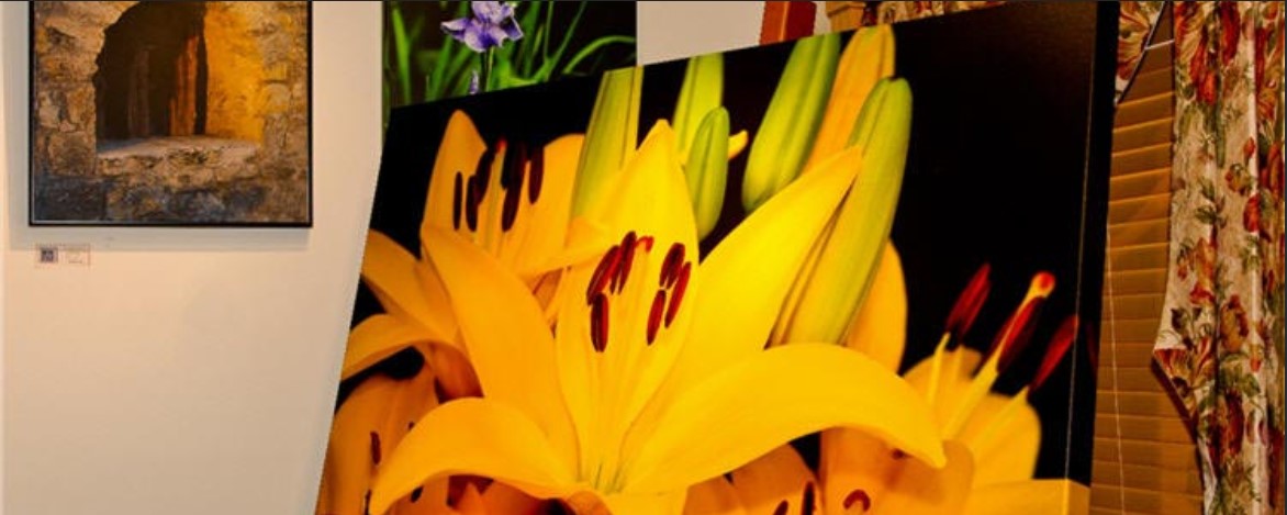 Canvas Mounting and Framing - Yellow Flower